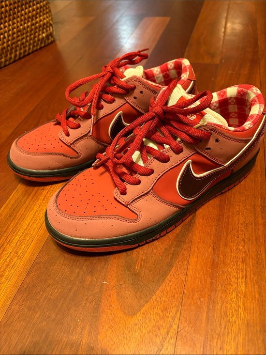 Nike Other - Nike SB Dunk Low Concepts Red Lobster Size 10